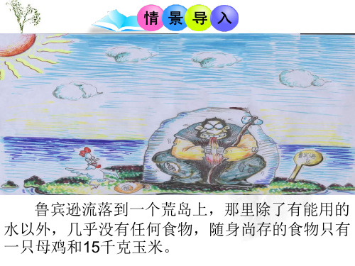 苏教版生物八年级上册19.2.1 生态系统中的能量流动和物质循环