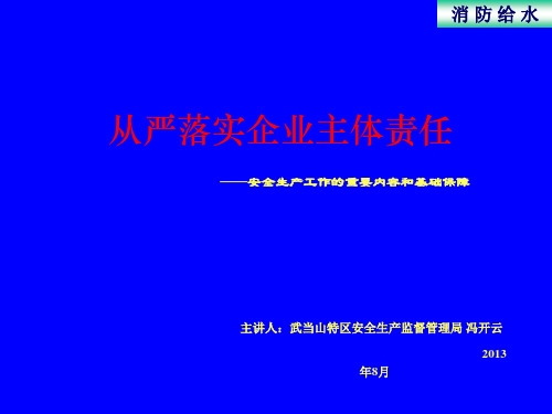 企业主体责任修改