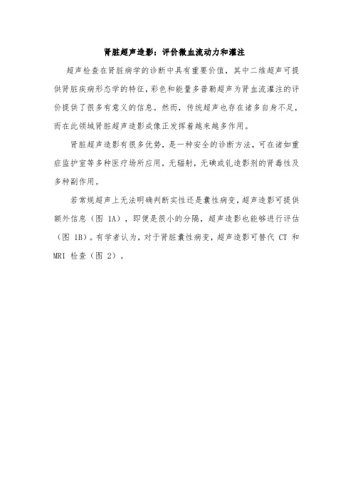 肾脏超声造影
