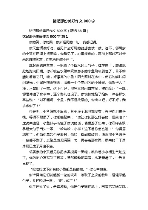 铭记那份美好作文800字（精选38篇）