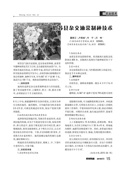 昭苏县杂交油菜制种技术
