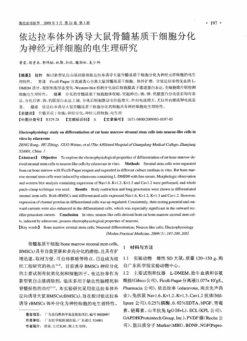 依达拉奉体外诱导大鼠骨髓基质干细胞分化为神经元样细胞的电生理研究