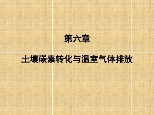 第六章 土壤碳素转化与温室气体排放