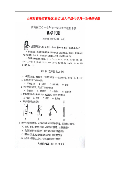 山东省青岛市黄岛区九年级化学第一次模拟试题(扫描版)