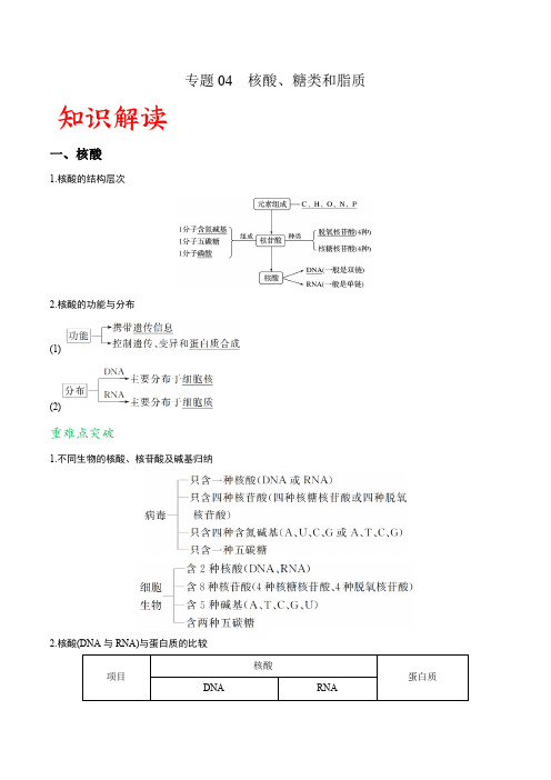 专题04 核酸、糖类和脂质-备战2022年高考生物一轮复习重难点专项突破(解析版)