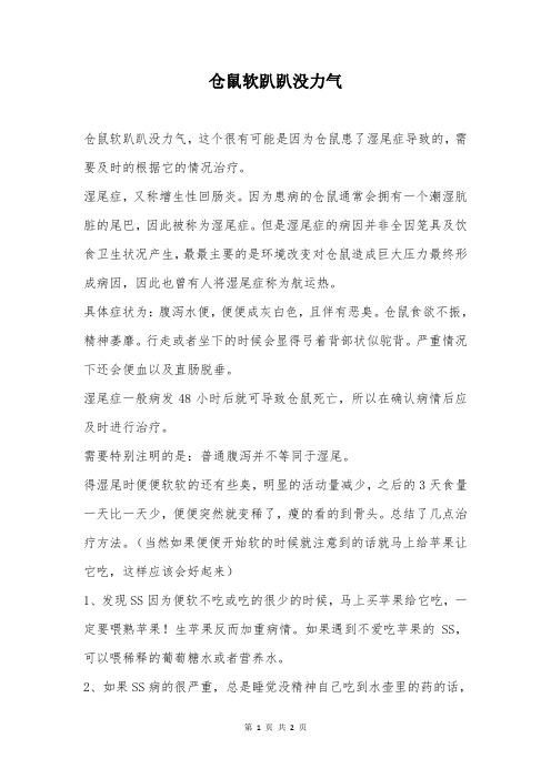 仓鼠软趴趴没力气