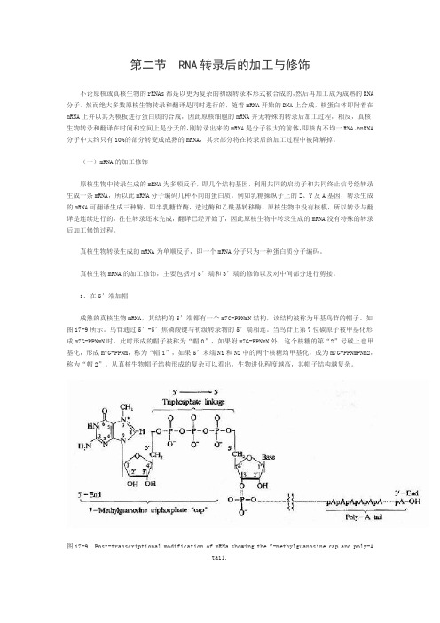 转录后的加工与修饰