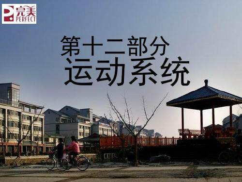 第十二部分运动系统