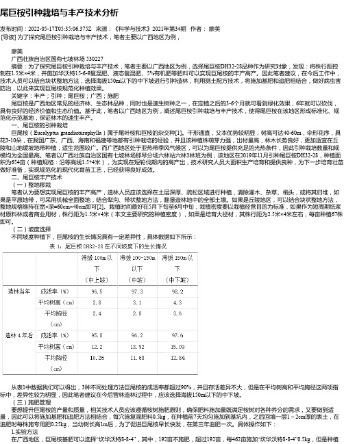 尾巨桉引种栽培与丰产技术分析