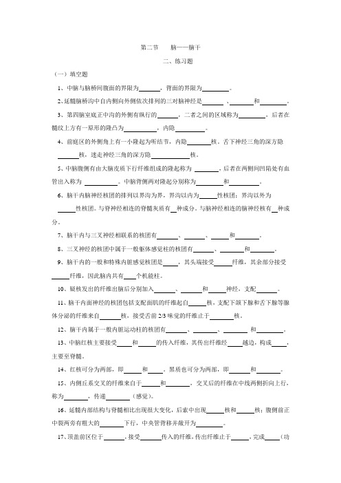 第二节----脑