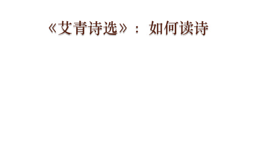部编版九年级语文上册复习课件： 《艾青诗选》(共44张PPT)