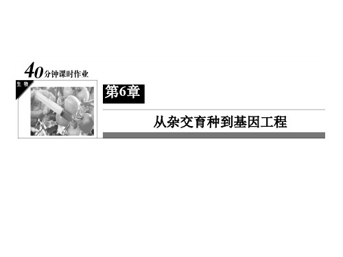 高中生物 第6章 从杂交育种到基因工程 第一节《基因工