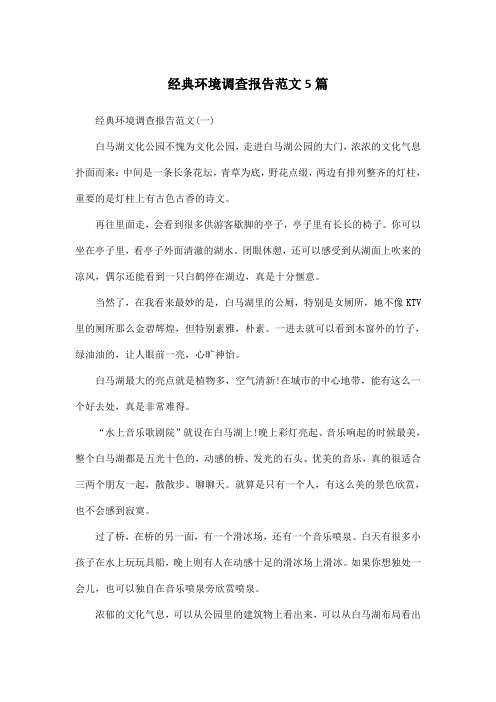经典环境调查报告范文5篇