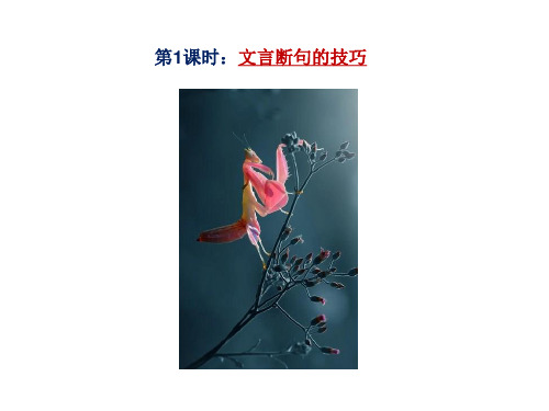 高考专题复习系列：第1课时文言断句的技巧(课件58张)