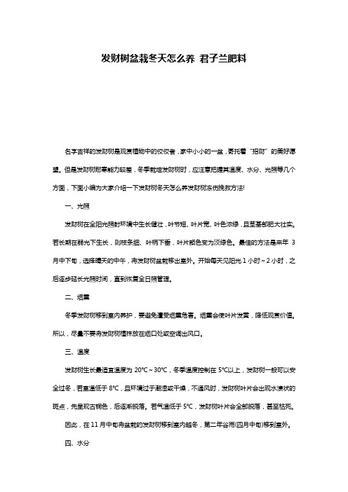 发财树盆栽冬天怎么养 君子兰肥料