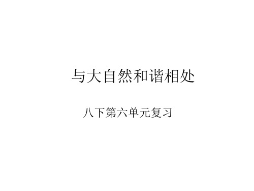 八年级政治与大自然和谐相处(2019年新版)