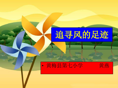 四年级上科学优秀课件-3.12 追求凤的足迹｜鄂教版 (14页PPT)