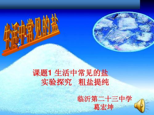 讲课用稿粗盐的提纯2