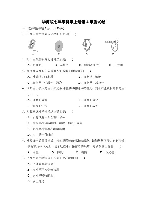 华师版七年级科学上册第4章测试卷附答案