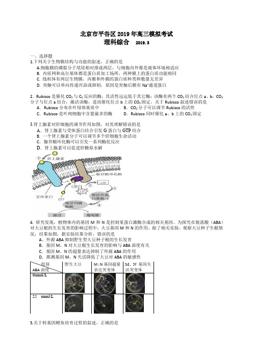 北京市平谷区2019年高三模拟考试理科综合试题及答案