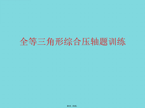 全等三角形综合压轴题训练(详细介绍“关系”共8张)