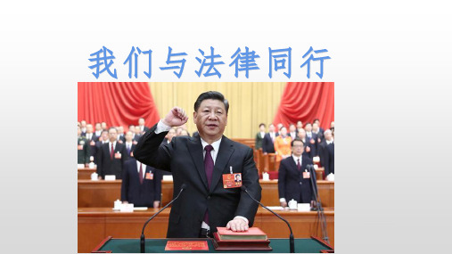 人教版道德和法治七年级下册 10.2 我们和法律同行 课件(共24张PPT)