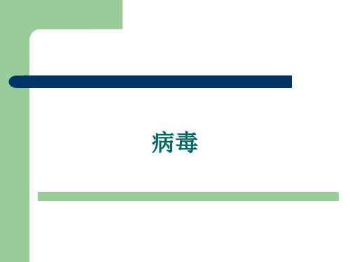 初中生物《病毒》说课课件