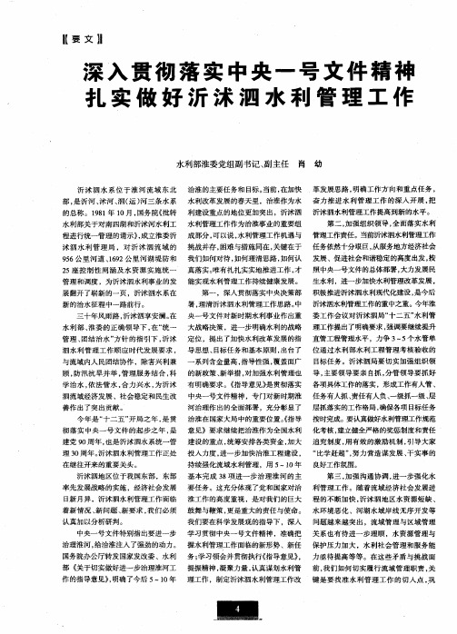 深入贯彻落实中央一号文件精神扎实做好沂沭泗水利管理工作