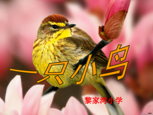 修《一只小鸟》精品PPT课件