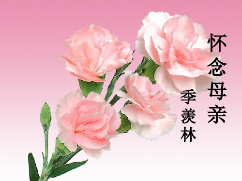 六年级上册语文优秀课件-2.6《怀念母亲》人教新课标 (共23张PPT)