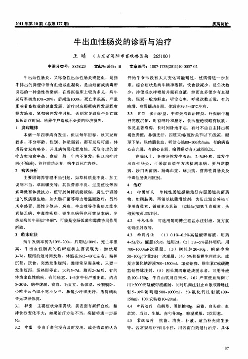 牛出血性肠炎的诊断与治疗