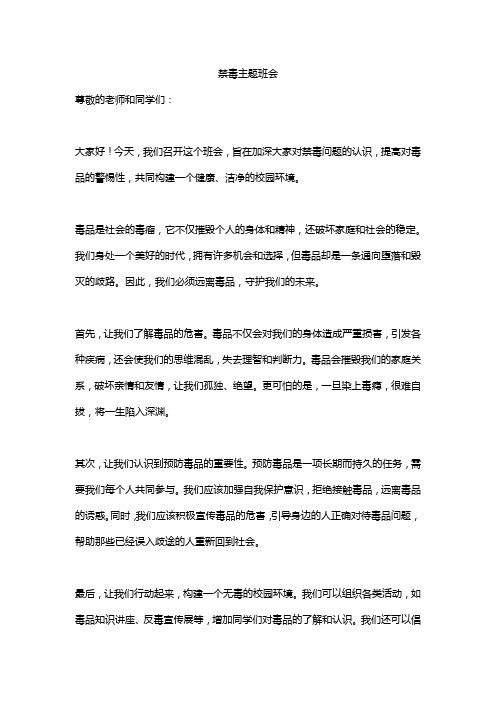 禁毒主题班会精选5篇