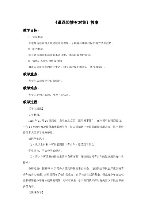 《遭遇险情有对策》教案3