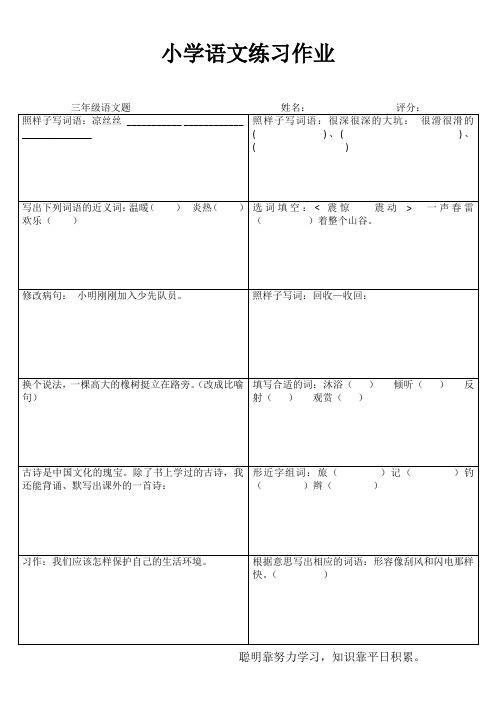 三年级小学语文练习作业 (13)