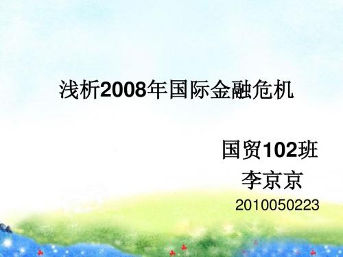 浅析2008年国际金融危机