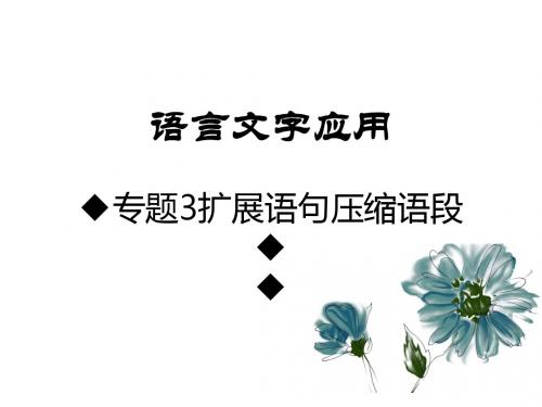 2019版高考语文A版一轮复习：语言文字应用ppt (3)