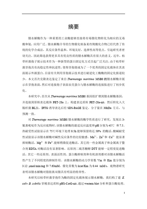 耐逆的腈水解酶等化工酶在芽孢表面固定化并优化其连接肽提高固定化效果