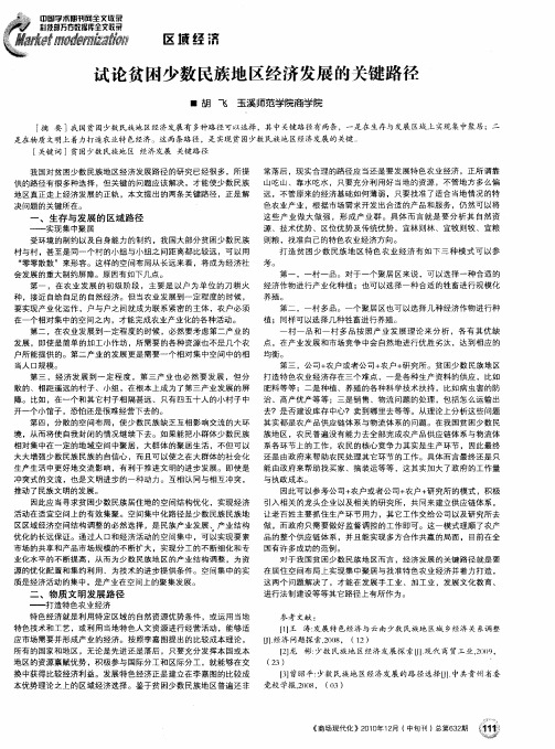 试论贫困少数民族地区经济发展的关键路径