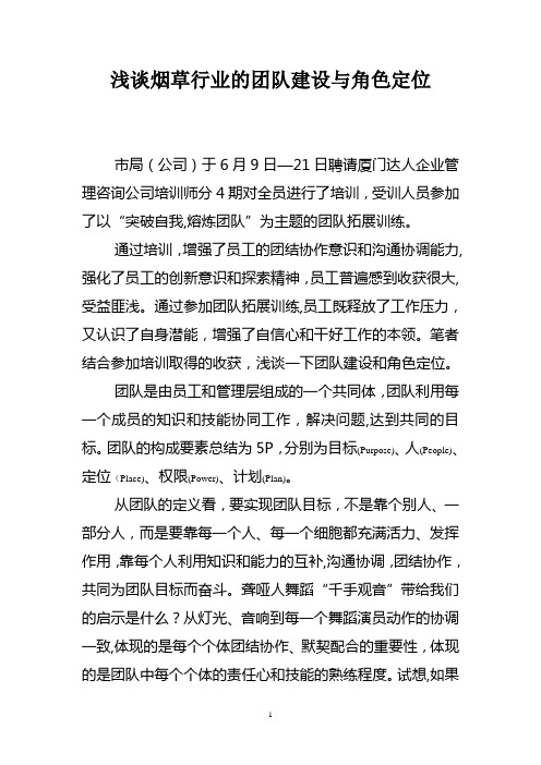 浅谈团队建设和角色定位