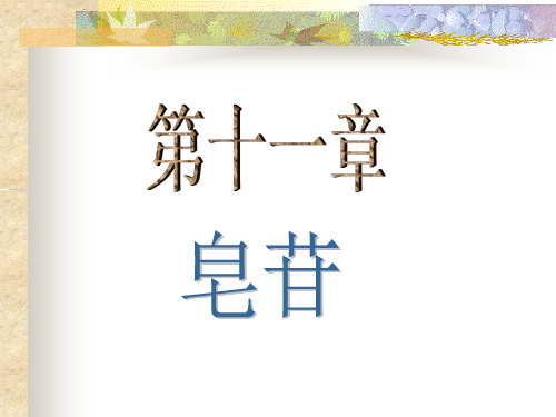 天然药物化学 第十一章