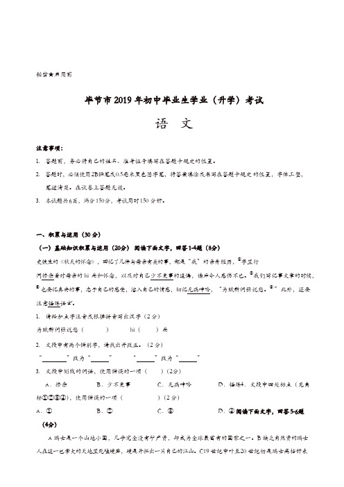 九年级下-毕节市_2019_年初中毕业生学业(升学)考试_语文试题(有答案)[原创]-试卷【精品】