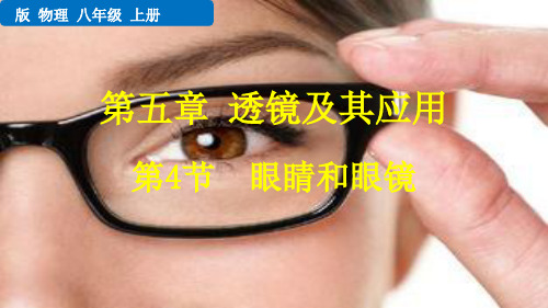 [人教版]《眼睛和眼镜》PPT课件1