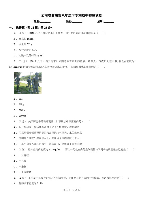 云南省曲靖市八年级下学期期中物理试卷