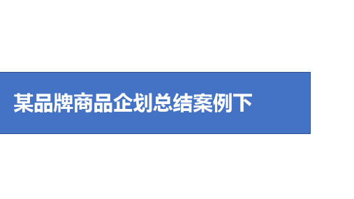 某品牌商品企划总结案例下