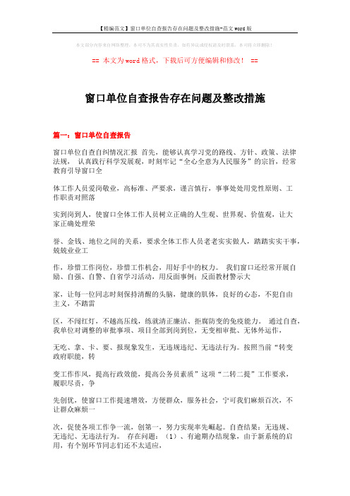 【精编范文】窗口单位自查报告存在问题及整改措施-范文word版 (21页)