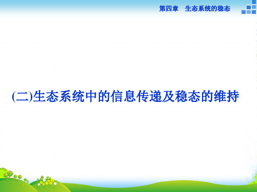 高中生物苏教版必修3课件：第四章第二节 生态系统的稳态(二)