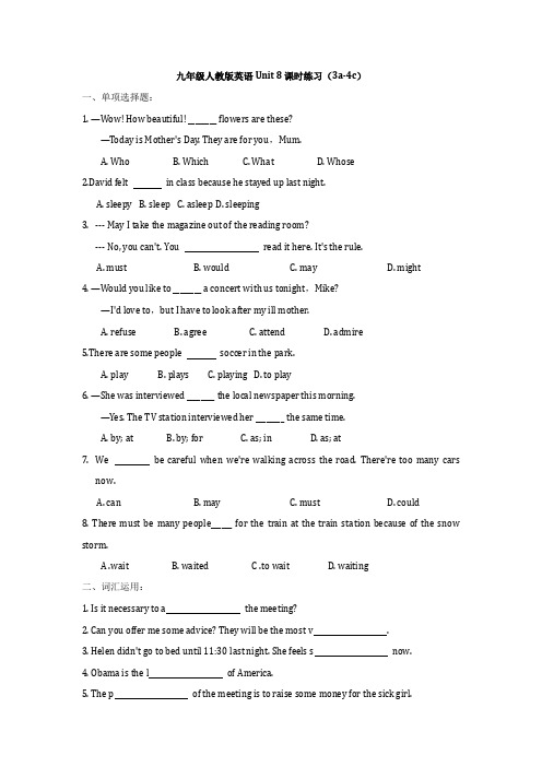 Unit 8课时练习(3a-4c)(有答案)九年级人教版英语