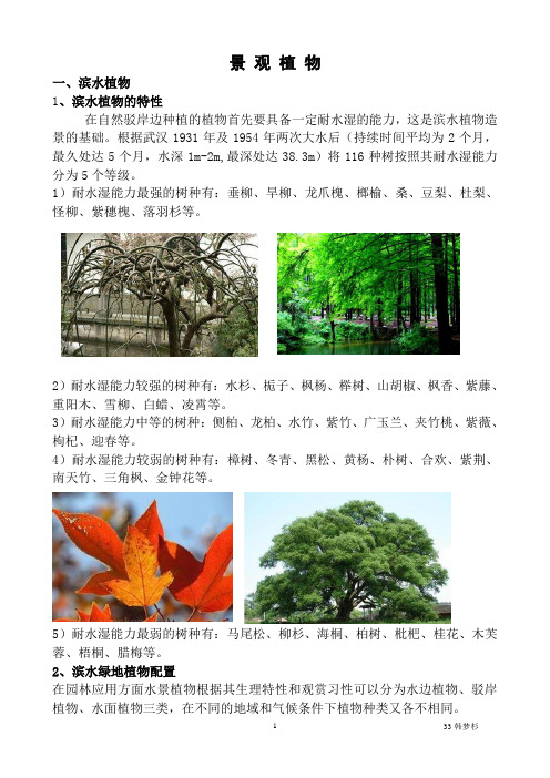 景观植物