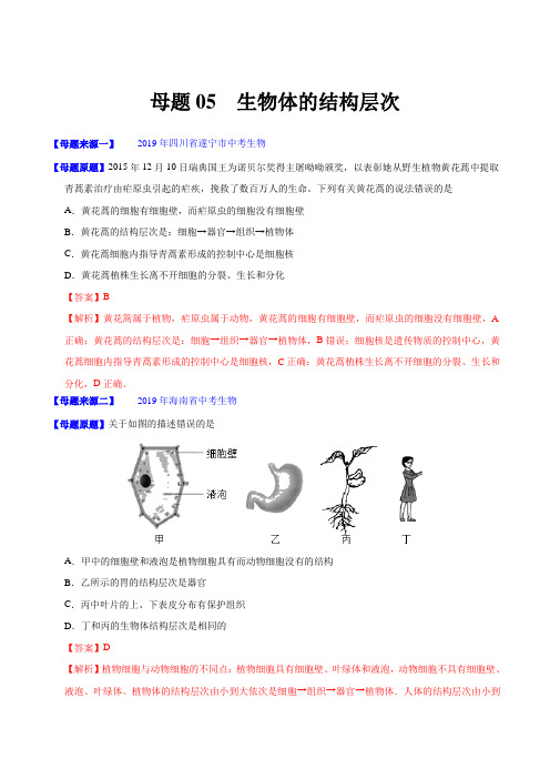 中考真题生物试题分项汇编05生物体的结构层次(解析版)