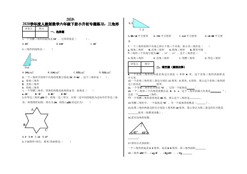 六年级下册小升初专题练习：三角形及答案-人教版
